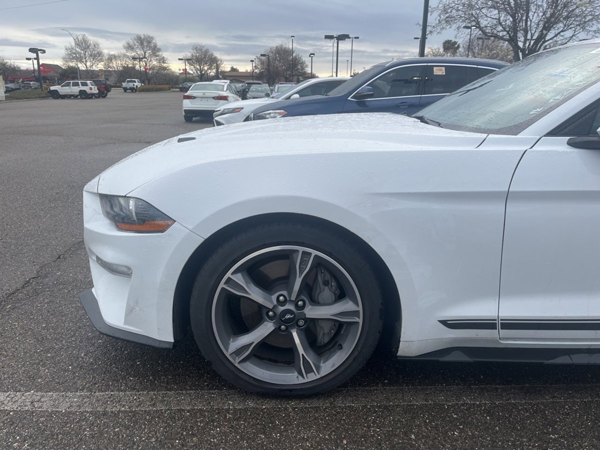 Vehicle Image 8 of 34 for 2023 Ford Mustang