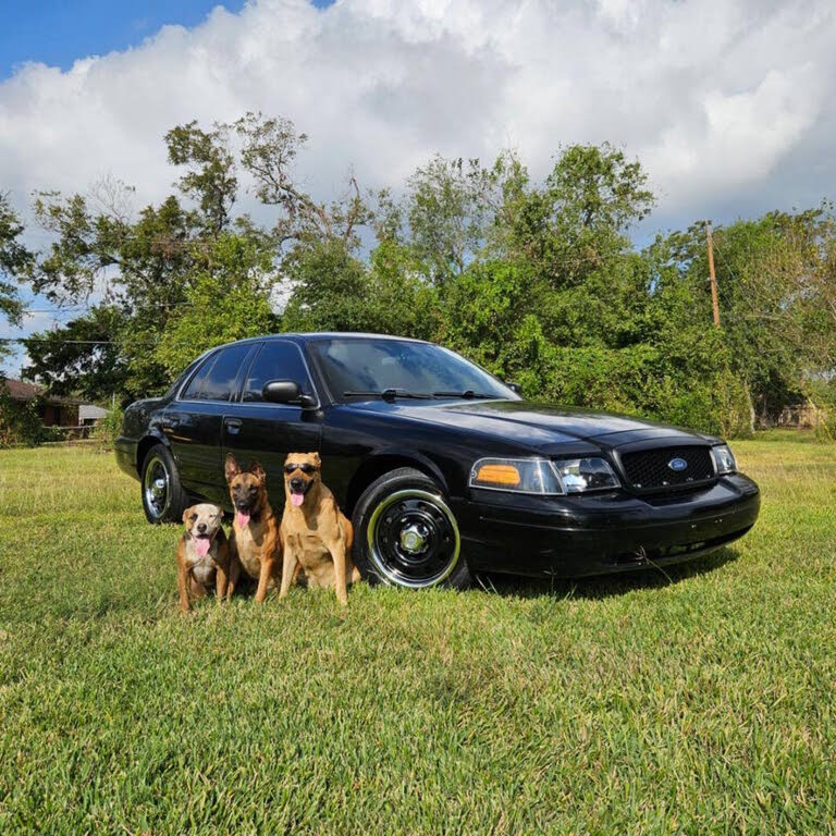 2011 Ford Crown Victoria Police Interceptor
