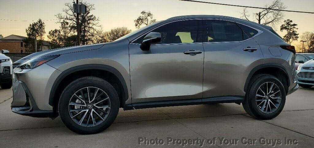 2024 Lexus NX 250