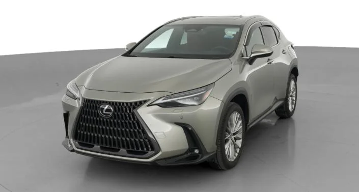 2023 Lexus NX Luxury
