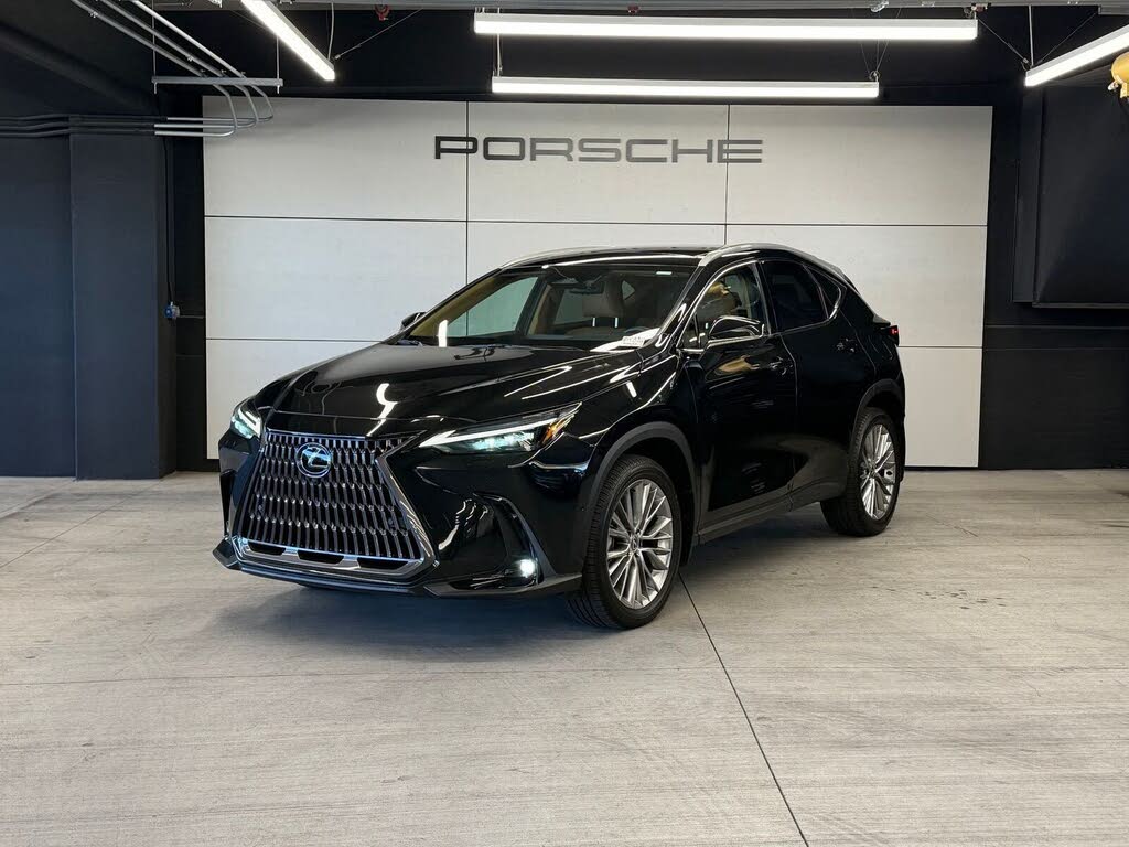 2024 Lexus NX 350h 350h Luxury