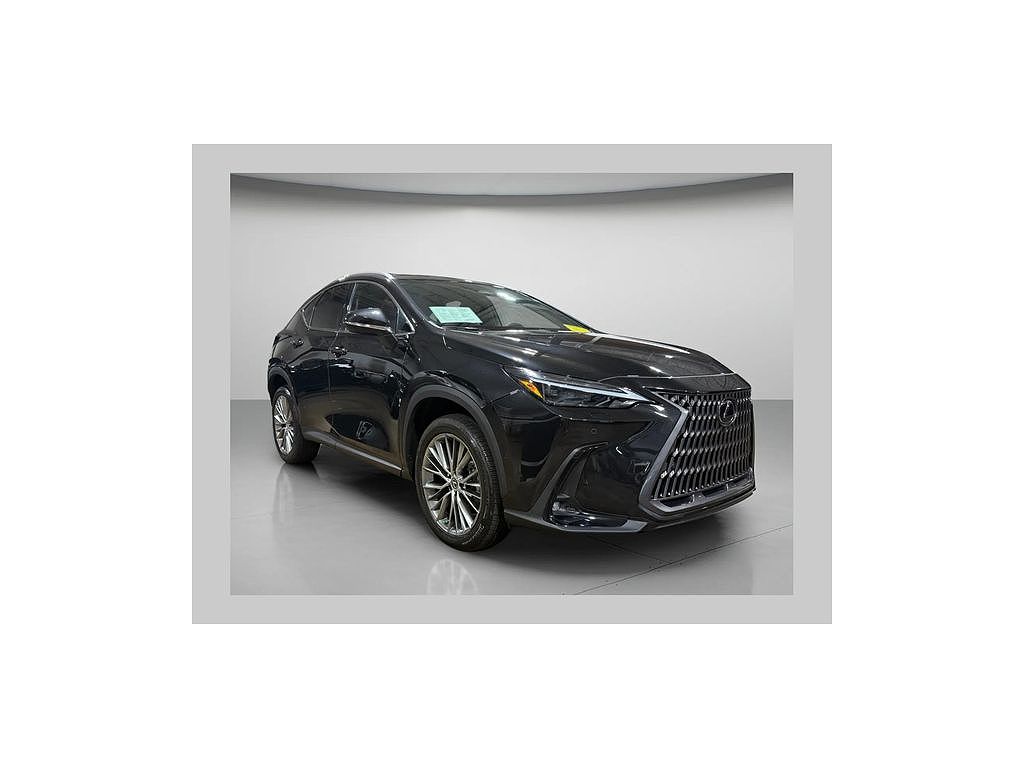 2023 Lexus NX Luxury