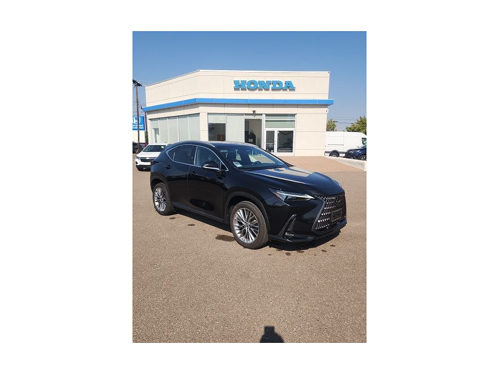 2022 Lexus NX Luxury
