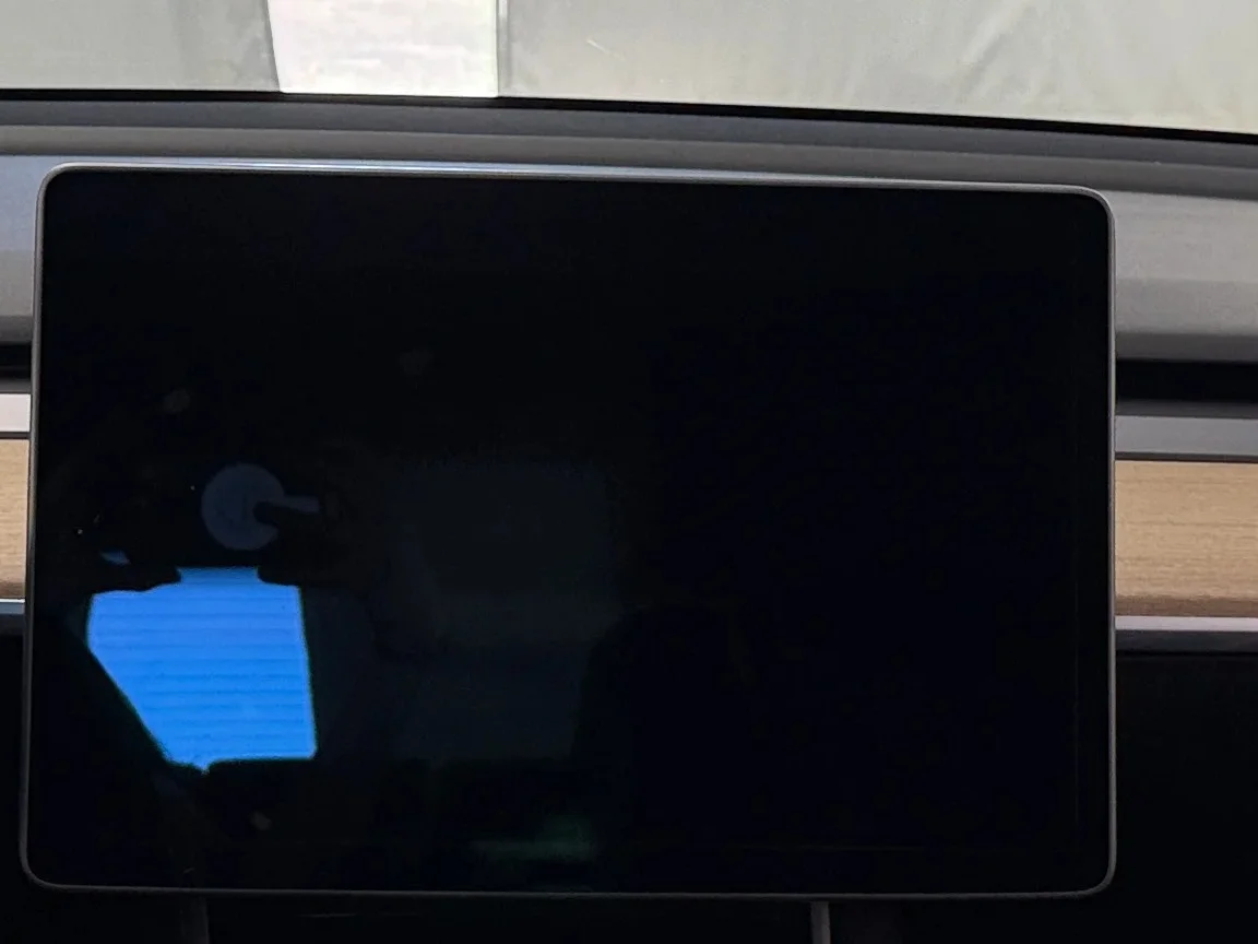 2020 Tesla Model 3 photo 3