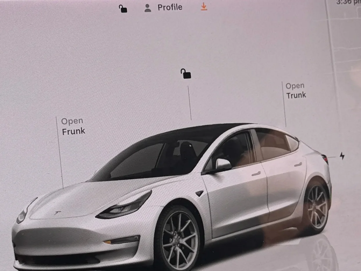 2022 Tesla Model 3 photo 3