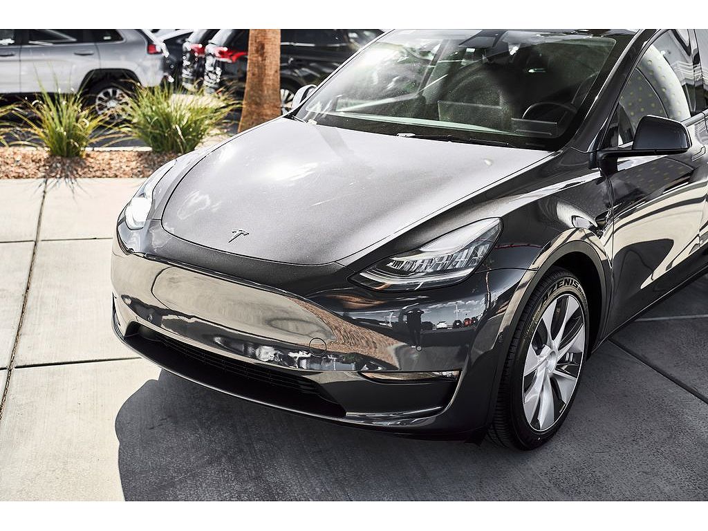 2021 Tesla Model Y photo 1