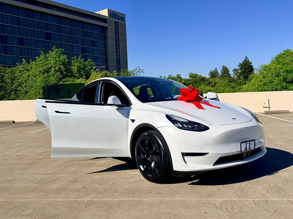 2021 Tesla Model Y photo 1