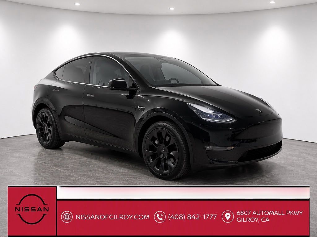 2021 Tesla Model Y photo 1