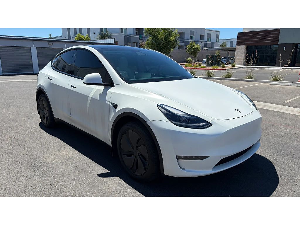 2021 Tesla Model Y photo 1