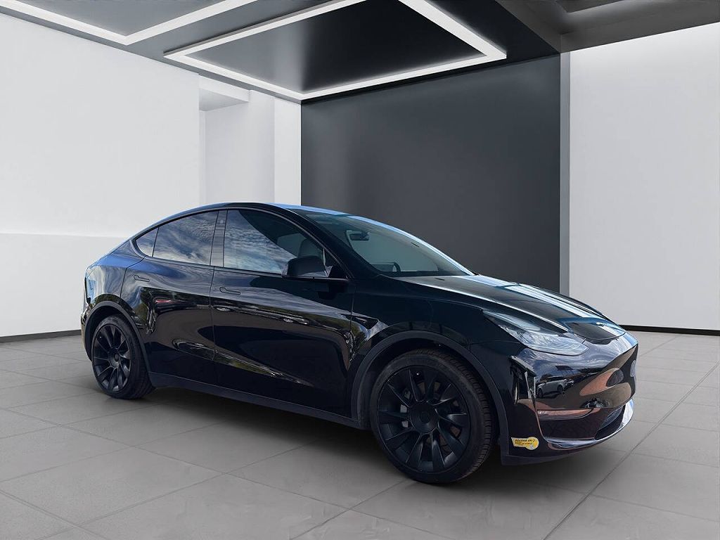 2021 Tesla Model Y photo 1