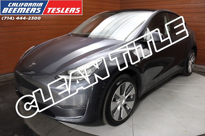 2020 Tesla Model Y photo 1