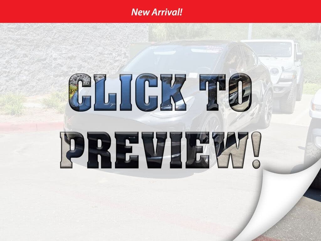 2021 Tesla Model Y photo 1