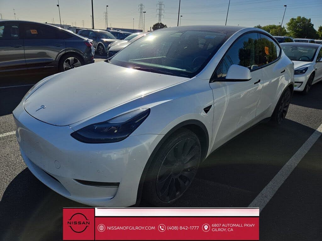 2021 Tesla Model Y photo 1