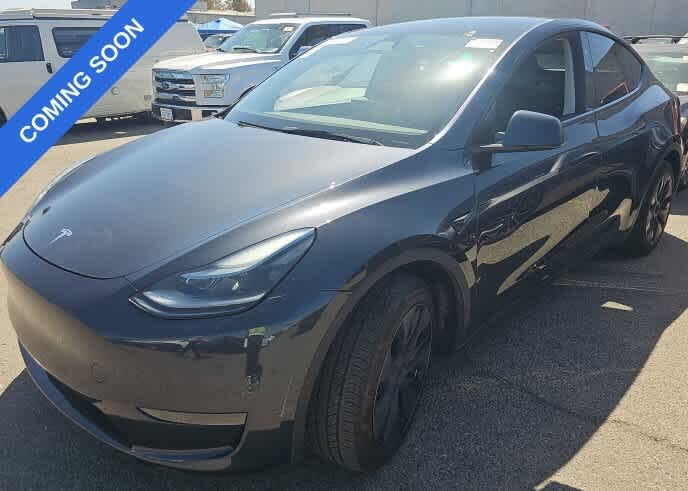 2025 Tesla Model Y photo 1