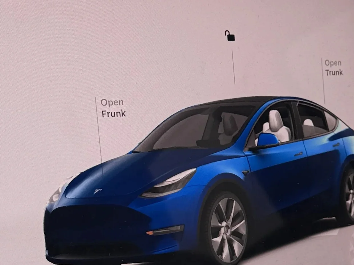 2022 Tesla Model Y photo 3