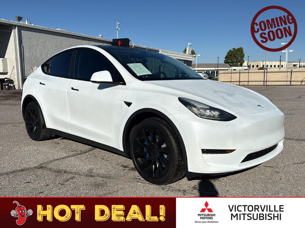 2023 Tesla Model Y photo 1
