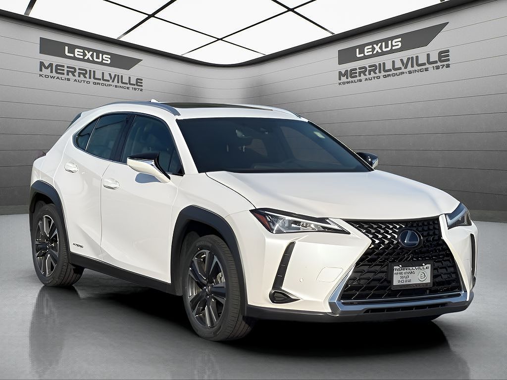 2019 Lexus UX Luxury