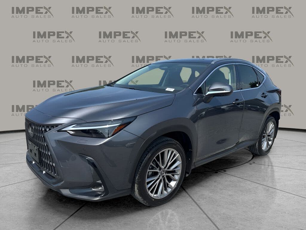 2024 Lexus NX 350h Luxury
