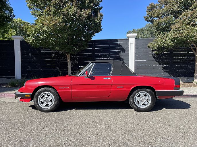 1986 Alfa Romeo Spider Veloce