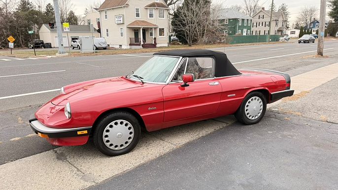 Alfa Romeo Spider Graduate