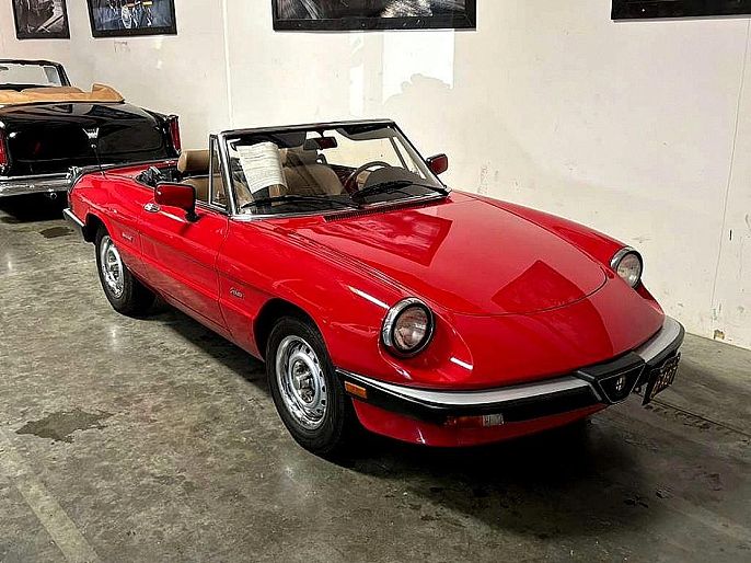 1987 Alfa Romeo Spider Graduate